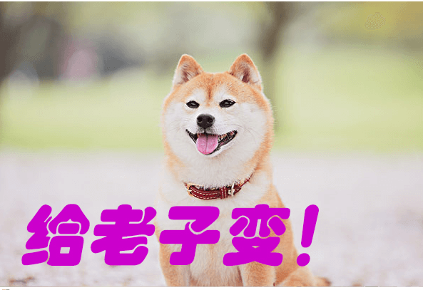 犬娘的报恩 わんこの恩返!官方新作中文PC版 ,全CV