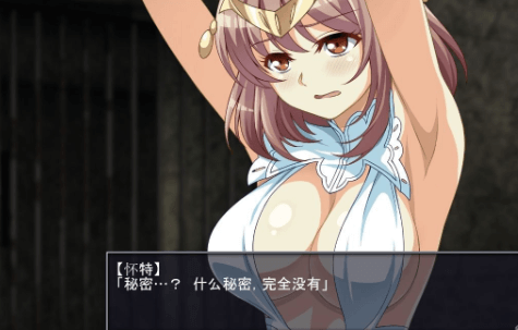 耻辱剑士战 被俘公主调什么教拷问夺还战!官中文版