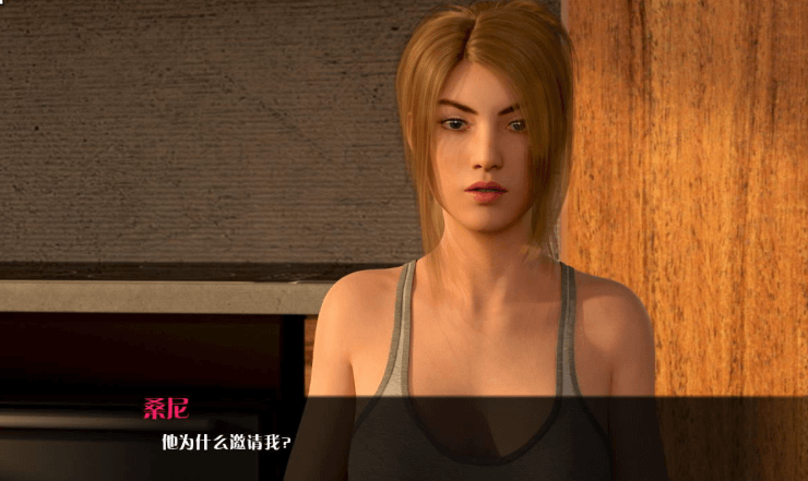 文化冲击困惑 V2.4 PC和安卓精翻汉化版