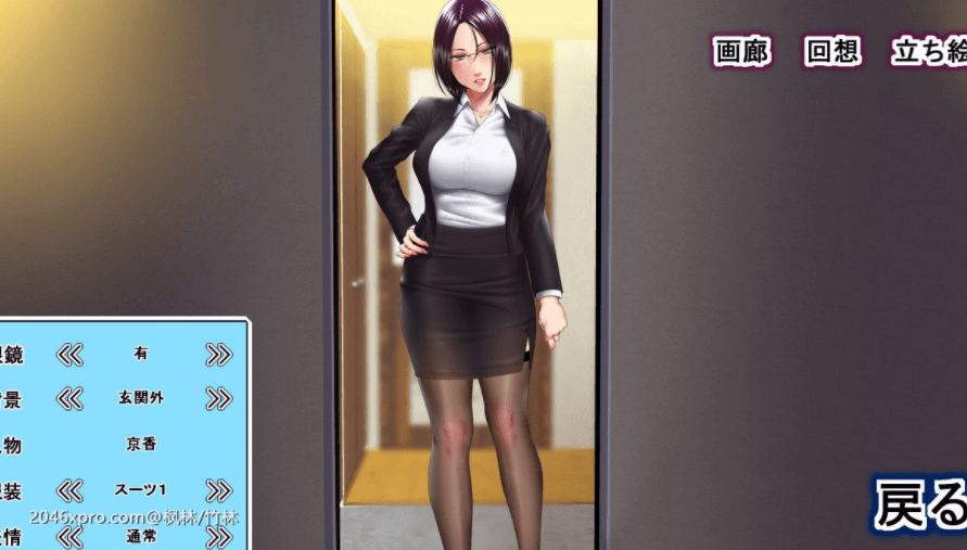 高傲妻子堕落记 是好女人还是坏女人呢 新汉化加上全CG 淑女向的类型