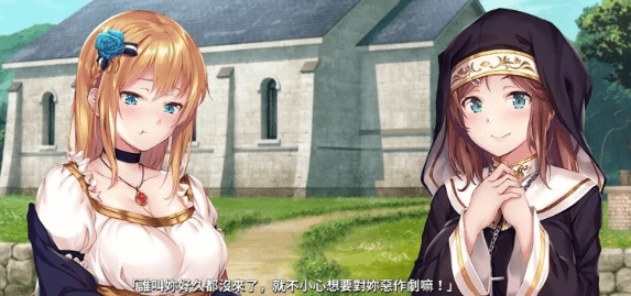 莎爾蒂 绝望与崩溃的鬼畜无尽轮回！顶级新作官中文PC版