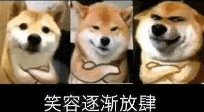 随意配种 异种族孕育后宫村庄!官中文PC版,全CV