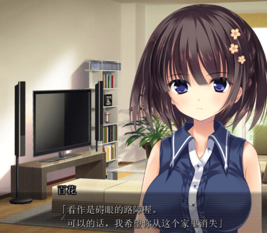 扔掉本本之后，兄长情况有异？精翻完结汉化PC版