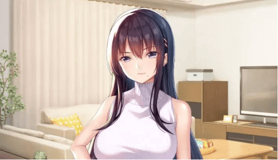 停手吧!姐姐大人 电脑PC汉化,爬坡度大货车!无可比拟的画风