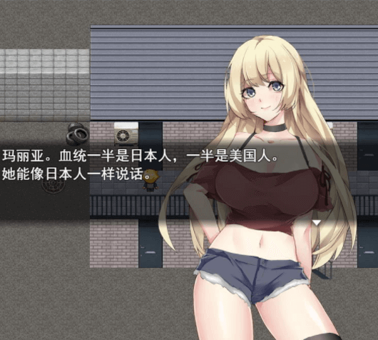 黑之书 !PC和安卓精翻汉化版,那啥版死X亡笔记