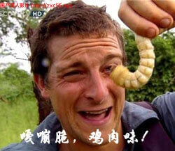 异种注意 捕获未知生物!新四章+2外传精翻汉化PC版