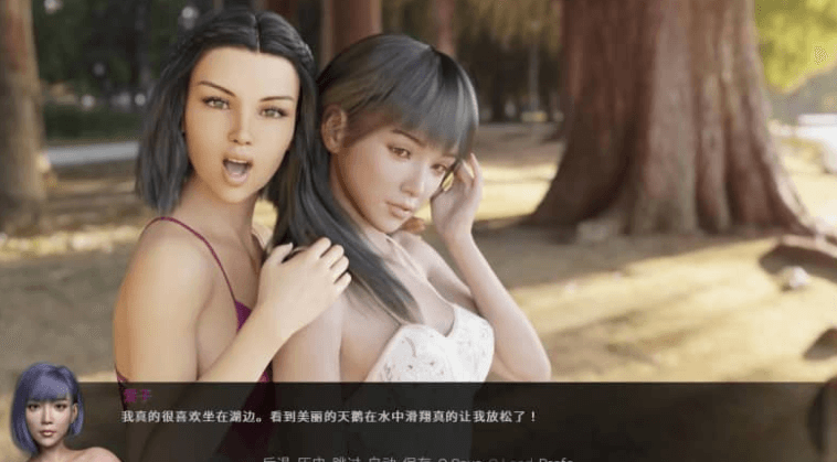 不雅的欲望 v.024 PC加安卓汉化版