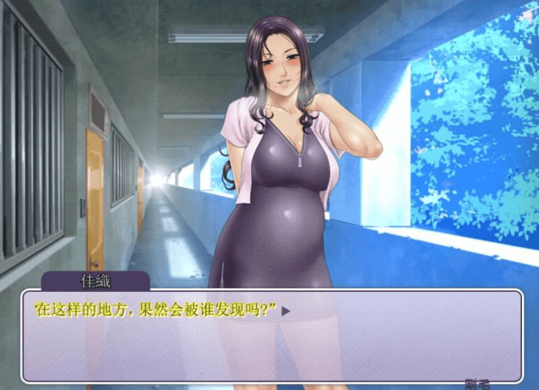 午后住宅区的夫人们 汉化PC版