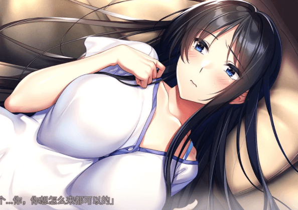 我与老师的私人课程 精翻汉化版，有全CG存档