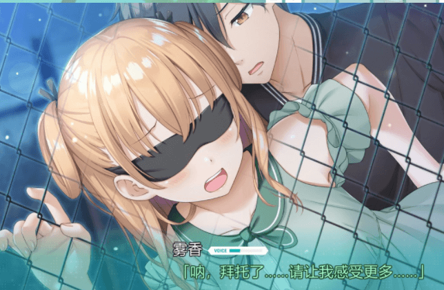 献给神明般的你 Ex Ver1.1 精翻完整汉化版,有存档