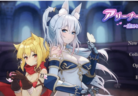 斗技场物语 盗贼与姬骑士篇 中文版