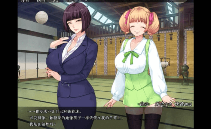 妃神会秘史 中文版，有全CG存档