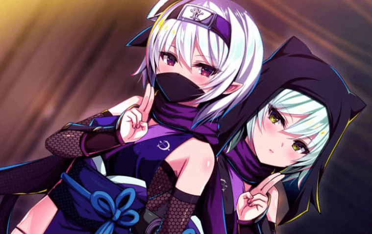 蹂躙王国 精灵王国成为巨大苗床 AI汉化版