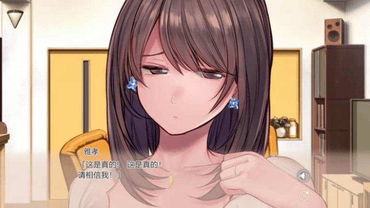 妻子 服饰游戏生活 中文版