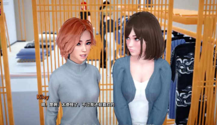 风暴边疆Stormside V0.23.1.2 PC加安卓汉化版